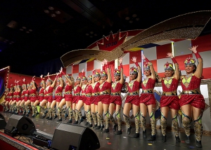 107 TN  9031-KSweb100