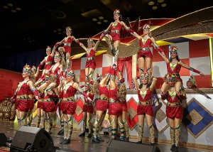 107 TN  9056-KSweb100