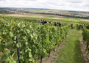 101 DD7A0166-KS 2Kweb