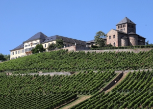 Wandertag Rheingau